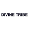 Divine Tribe 